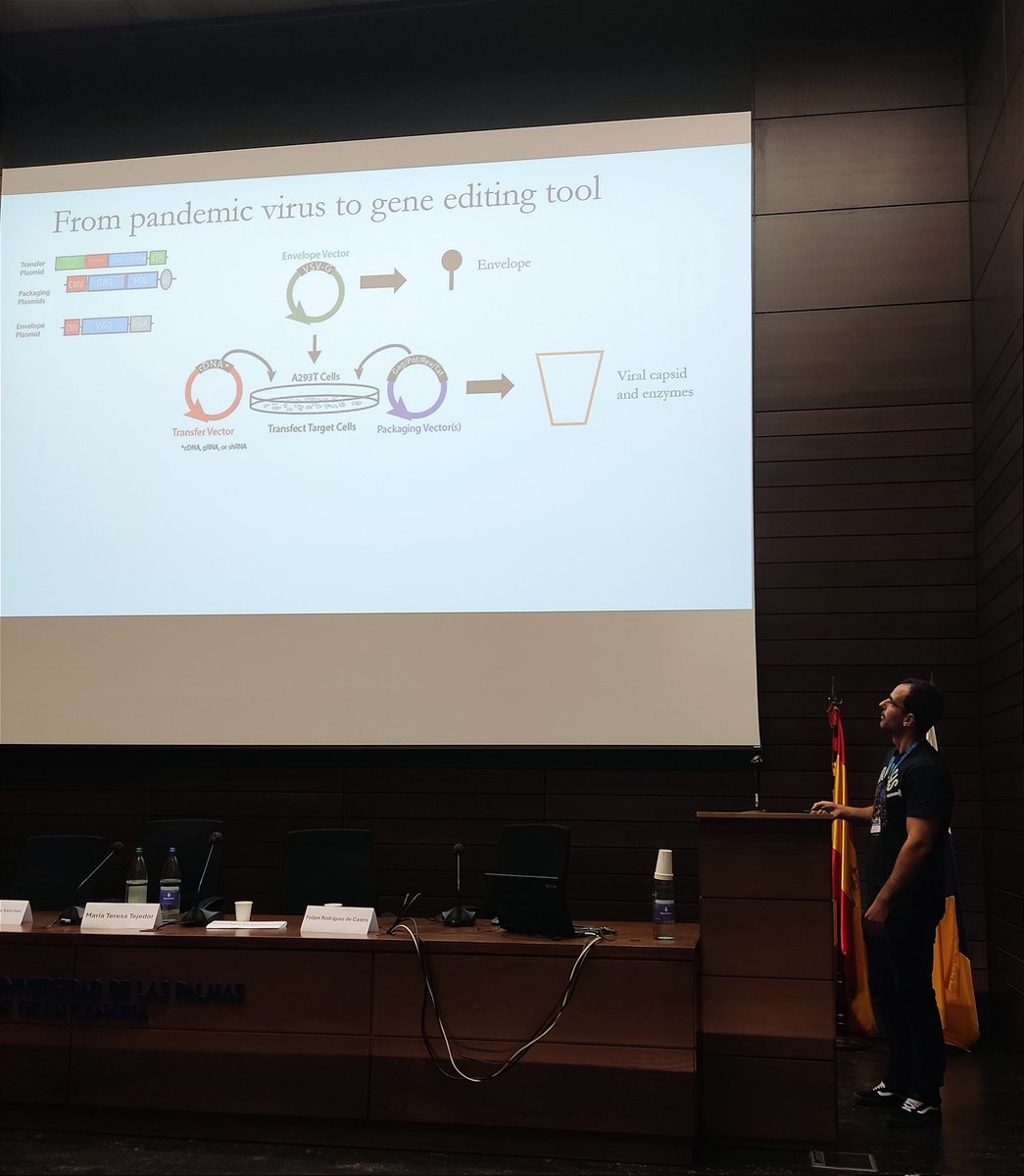 iUIBS_ULPGC's tweet photo. Turno para el Dr. Gilberto Betancor, Investigador Ramón y Cajal del @iUIBS_ULPGC. " Improving Lentiviral Particle Production for Gene and Cell Therapy Applications Using Genome Wide CRISPR Platforms". Biología Molecular aplicada a las terapias génicas y celulares. Nice! https://t.co/I9c9iiIF3S
