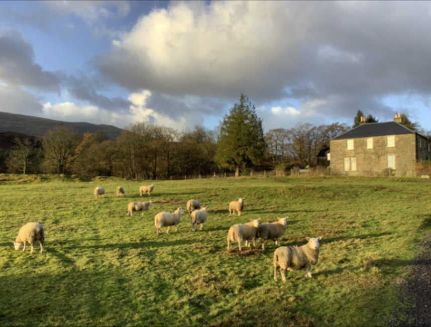 Scotlocs's tweet photo. Looking for a filming location on the Isle of Mull?
Garmony House could be the answer you're looking for.
A stunning traditional Georgian house surrounded by 12.6 acres of land with mature woodland areas, traditional outbuildings, grazing land and fantastic coastal views. https://t.co/NmOFfp0arq