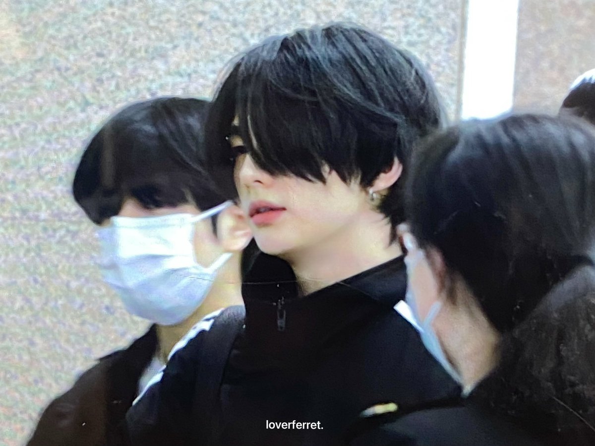 ʟᴏᴠᴇᴅ ғᴇʀʀᴇᴛ. tweet media