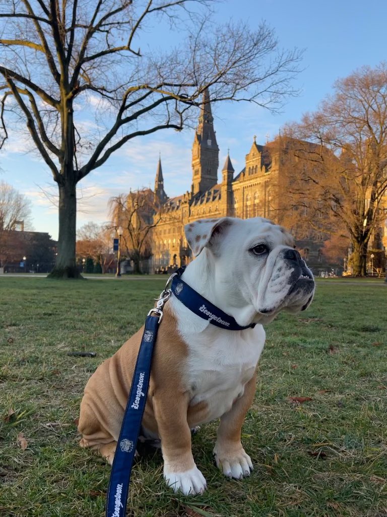 No shadow here! Jack says get ready for early spring on the Hilltop ☀️💙