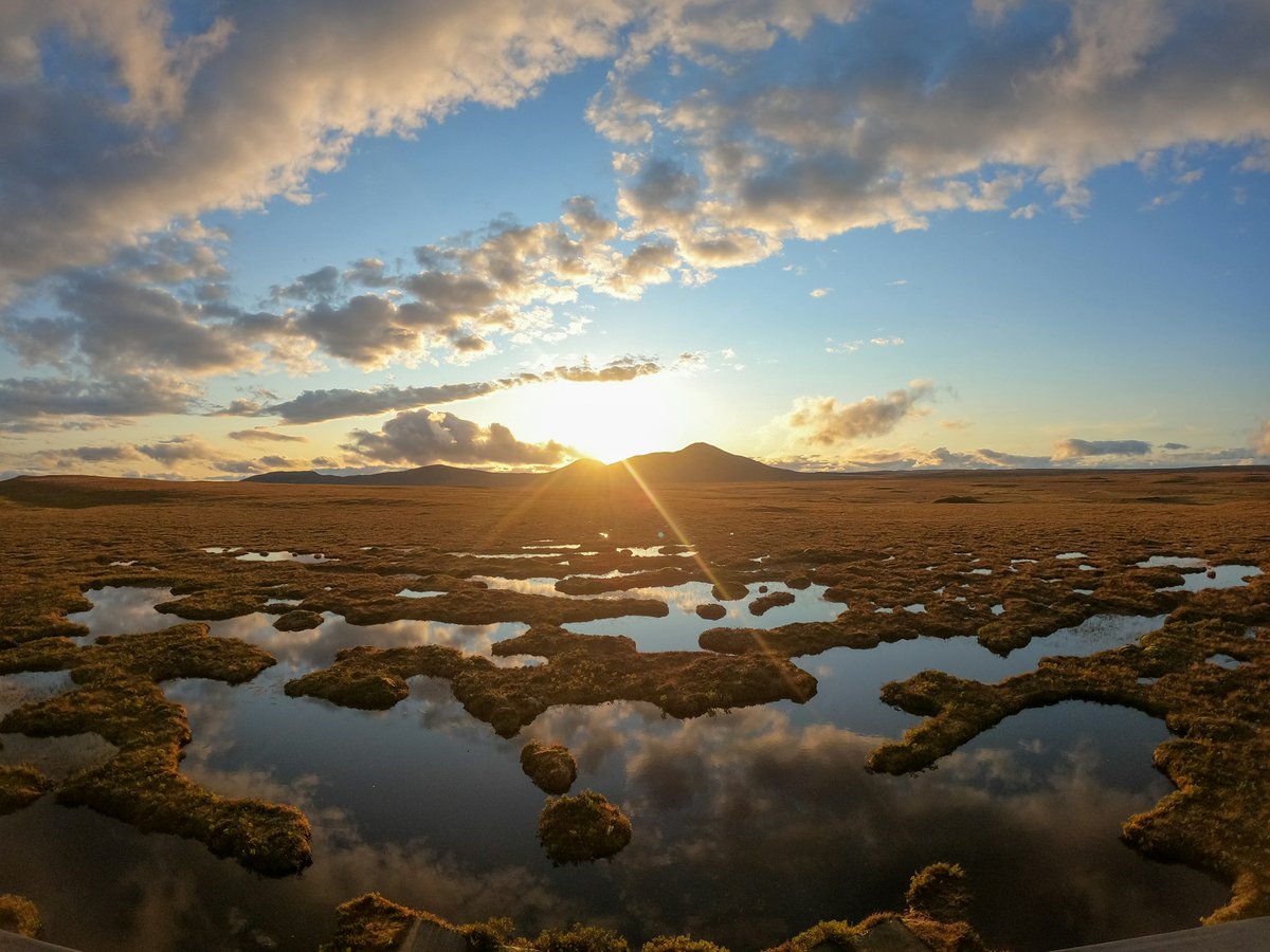 Researchers at <a href="/wateratleeds/">water@leeds</a> contributed to “The Critical Role of Water in Achieving Global Climate Goals” at <a href="/COP28_UAE/">COP28 UAE</a>.

Cat Moody and Joe Holden calculated the water needed to rewet drained peatlands and maintain intact ones.

🔗water.leeds.ac.uk/news/cop28-wat…