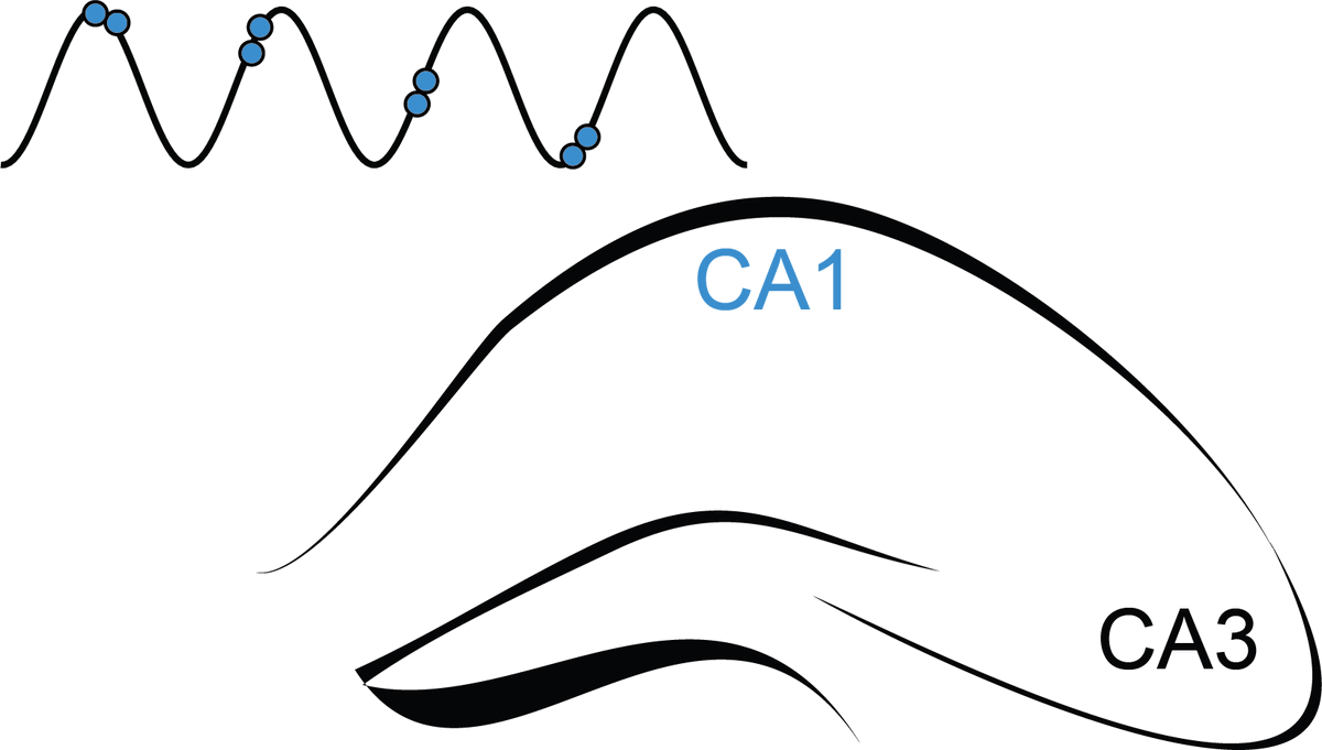 StarkLab tweet media