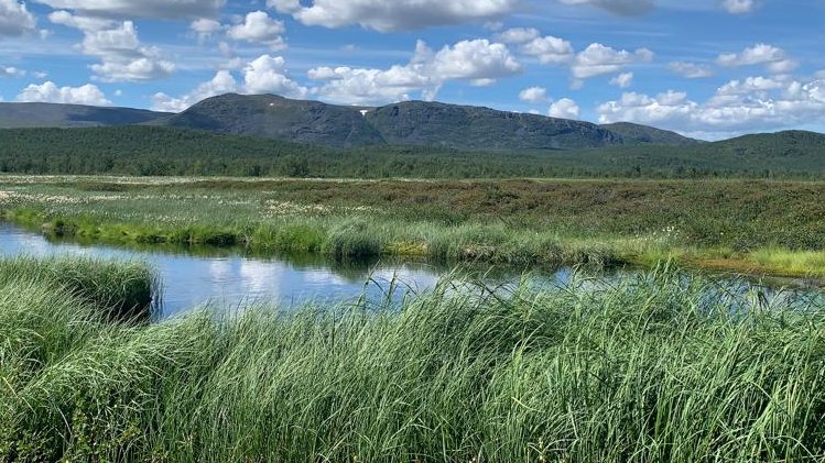 It's #WorldWetlandsDay! In addition to C, peatlands are important sinks for pollutants (e.g., heavy metals). Peatland degradation and decomposition under climatic and ecohydrological change risks remobilisation.  

Follow us for exciting, new results on this pressing issue!