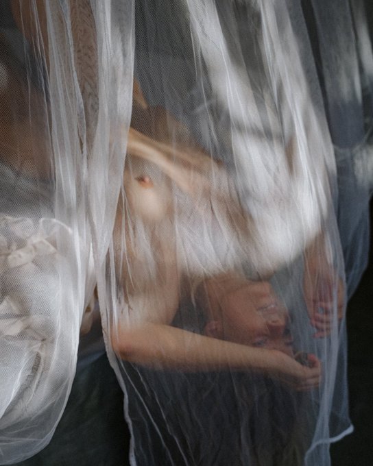 Discovered these beautiful photos I took of Lola back in 2020. We had never even looked at them, they