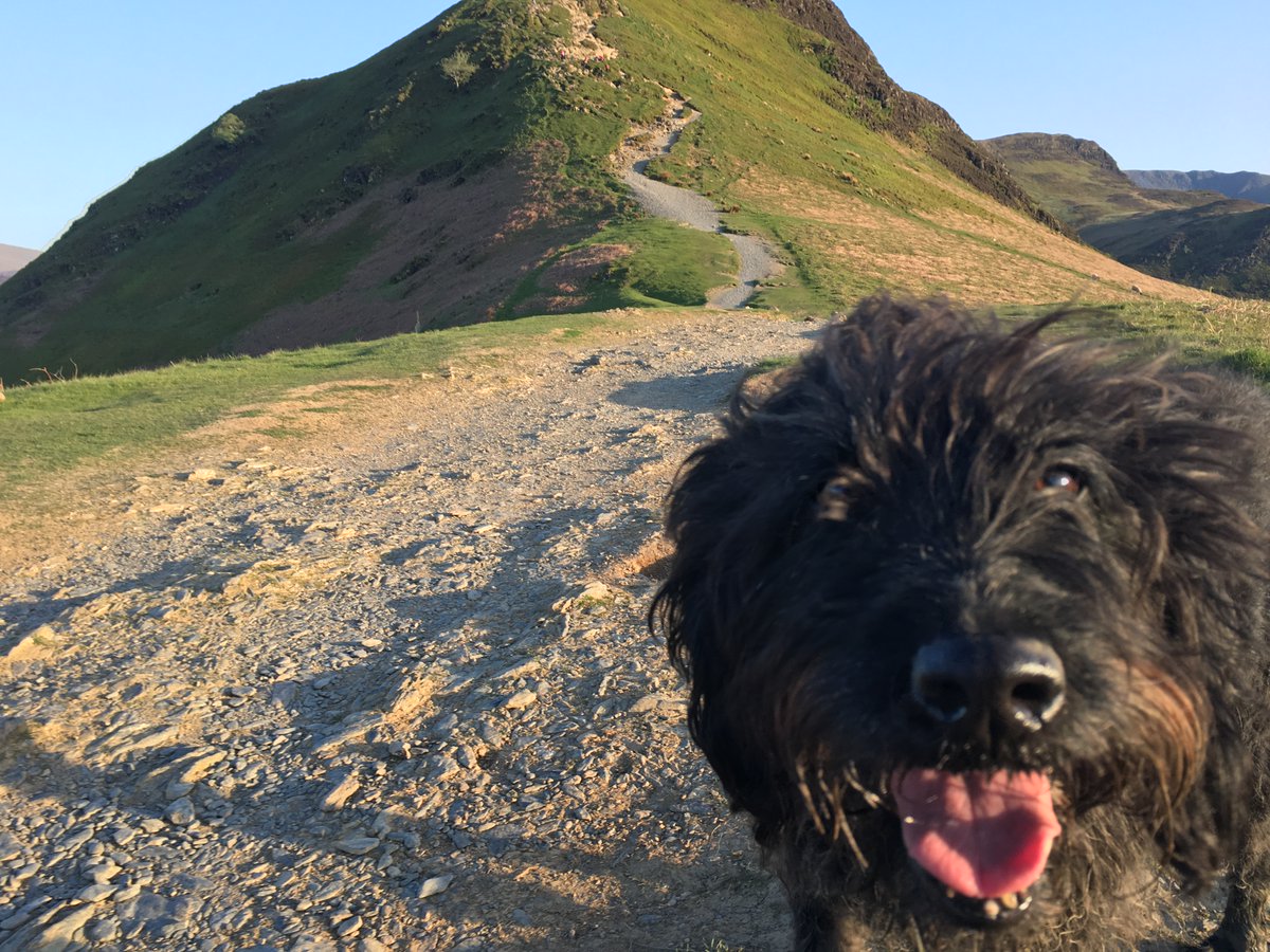 #FreshAir is good for us and our #dogs, but sometimes they can lead us into trouble. #BeAdventureSmart and follow the adventuresmart.uk guide for safe #walks with your #dog.
 
Image by ©@cumbriatourism
 
#WalkTheDog #Carlisle #Cumbria #walking #outdoors