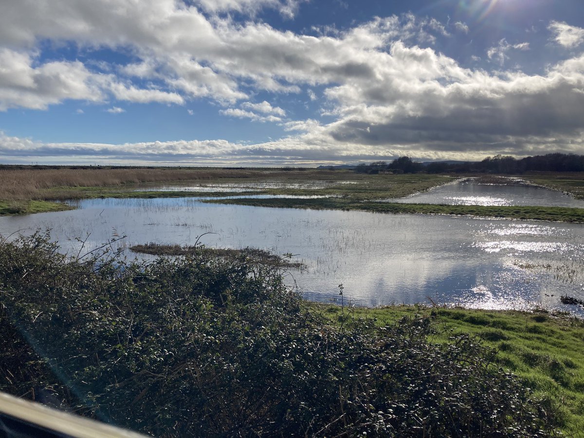 Niamh Fitzgerald tweet media