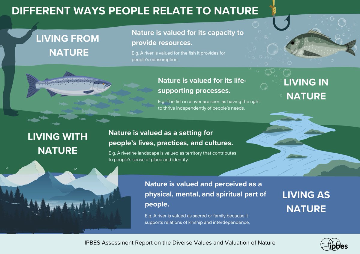 IPBES's tweet image. Different worldviews and knowledge systems
influence the ways people interact with and value nature. 🌱
—@IPBES #ValuesAssessment

All these values must be considered to effectively address the #biodiversity crisis.

Read the Values Assessment Report: ipbes.net/the-values-ass…