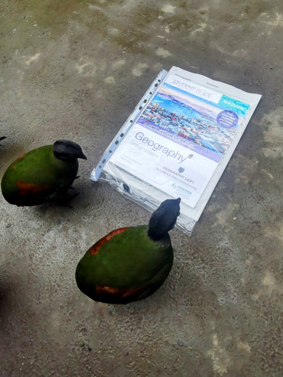 MountKellyGeog's tweet image. Brilliant tour of the @EdenProject for the @Mount_Kelly A level Geographers covering a range of topics including sustainability, rural rebranding, diversification, ecosystems and geothermal power. The perfect #geography day out in the Cornish #rainforest