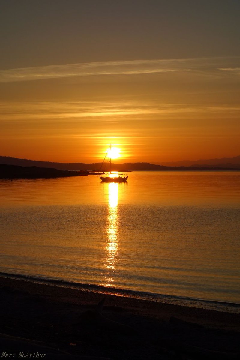 ~ Willows Beach during the golden hour .. 🤎🧡⭐️~ Oak Bay, BC ~