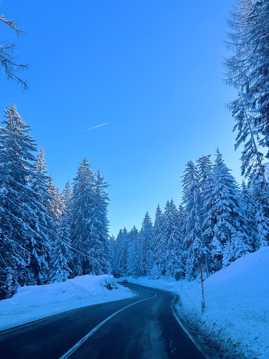 #BeautifulNature 
#beautifulwinter #WinterVibes #winter #pinetrees #blue #travel #roadTrip #ontheroad #happyfriday #HappyFebruary 💙