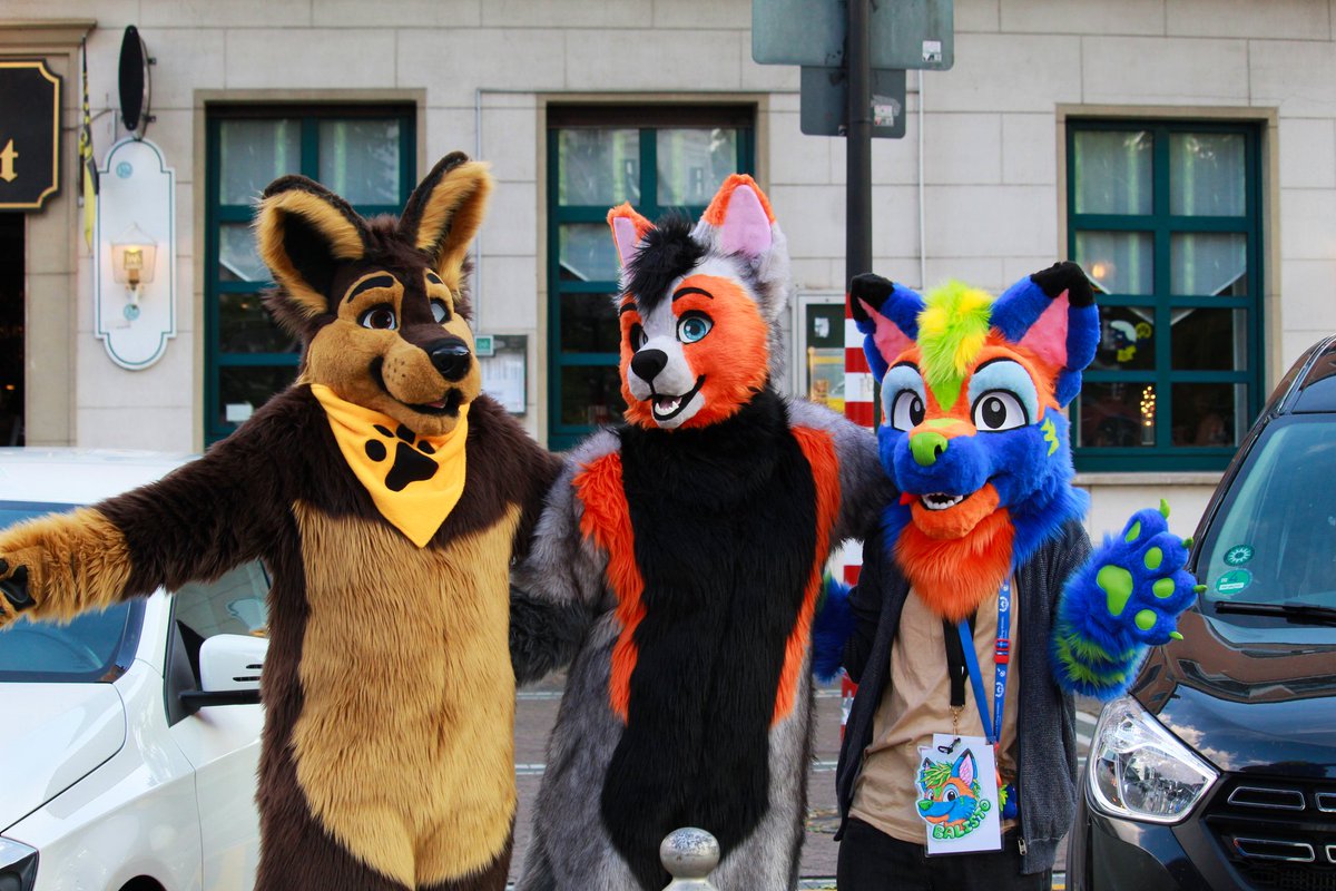 happy #FursuitFriday in memories of some good old times. Infront of an old furmeet, with @Kamin_Feuer and @BWolfclaw from left to right 📸 don't remember