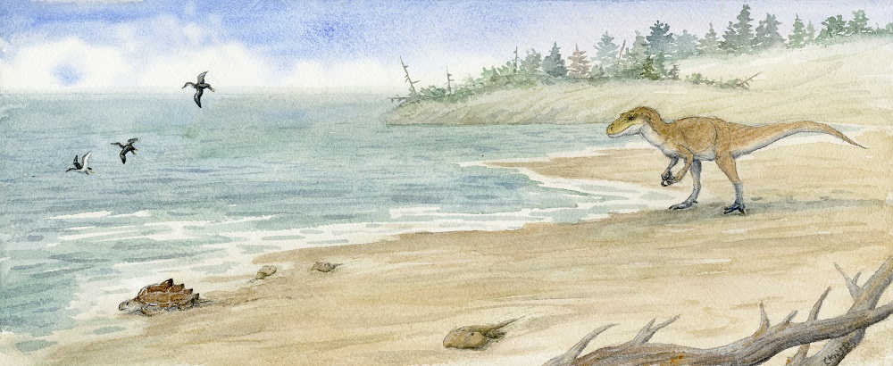 NJStateMuseum's tweet image. New Creataceous background created by NJ native @ChrisDPiazza. Included are a 'fleshed out' version of Dryptosaurus, Cretaceous sea turtle Peritresius ornatus, Horseshoe crabs &amp;amp; Grebe-like birds  modeled after fragmentary bird fossils of the same age from the Inversand quarry.