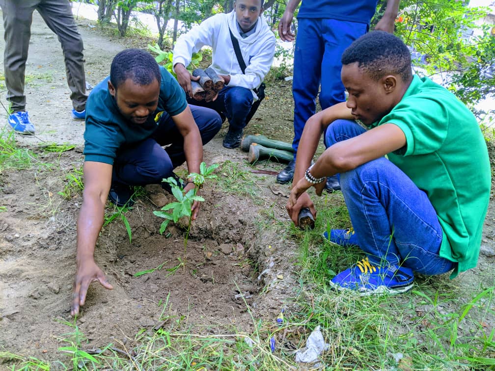 Zoezi la upandaji Miti katika Shule ya Msingi ya Uhuru.