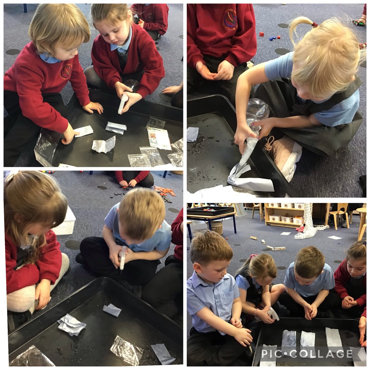 Reception have been learning about the ‘lifecycle of a plant’. We have planted our own seeds to use our observational skills to watch the seed grow. Ardderchog pawb! ⭐️👏🌱