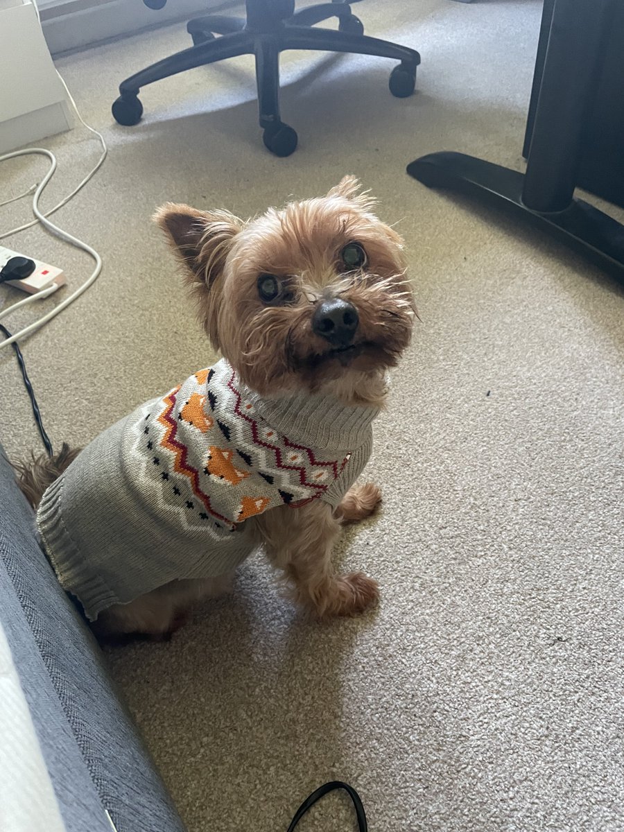 Q7L_97's tweet photo. I got Derek nearly 13 years ago, he was with me from high school all the way through to me buying my own house and im glad he got to see it all. Today we had to say goodbye, he will be so so so missed 💔 rest easy king, things wont be the same without you https://t.co/Vu7OzuqF96