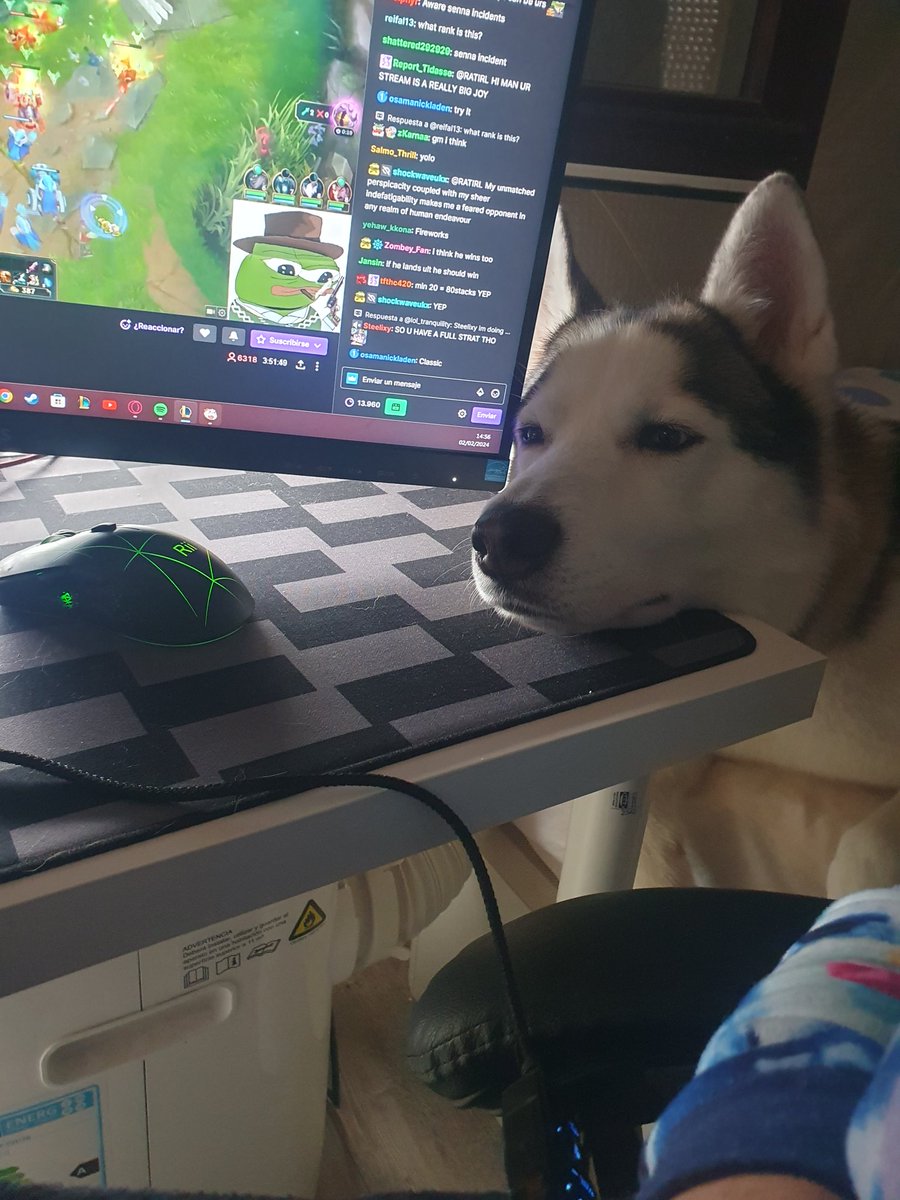 1Tatii_'s tweet photo. Alguien está intentando llamar mi atención 🥰 https://t.co/3fWxCS1MZZ