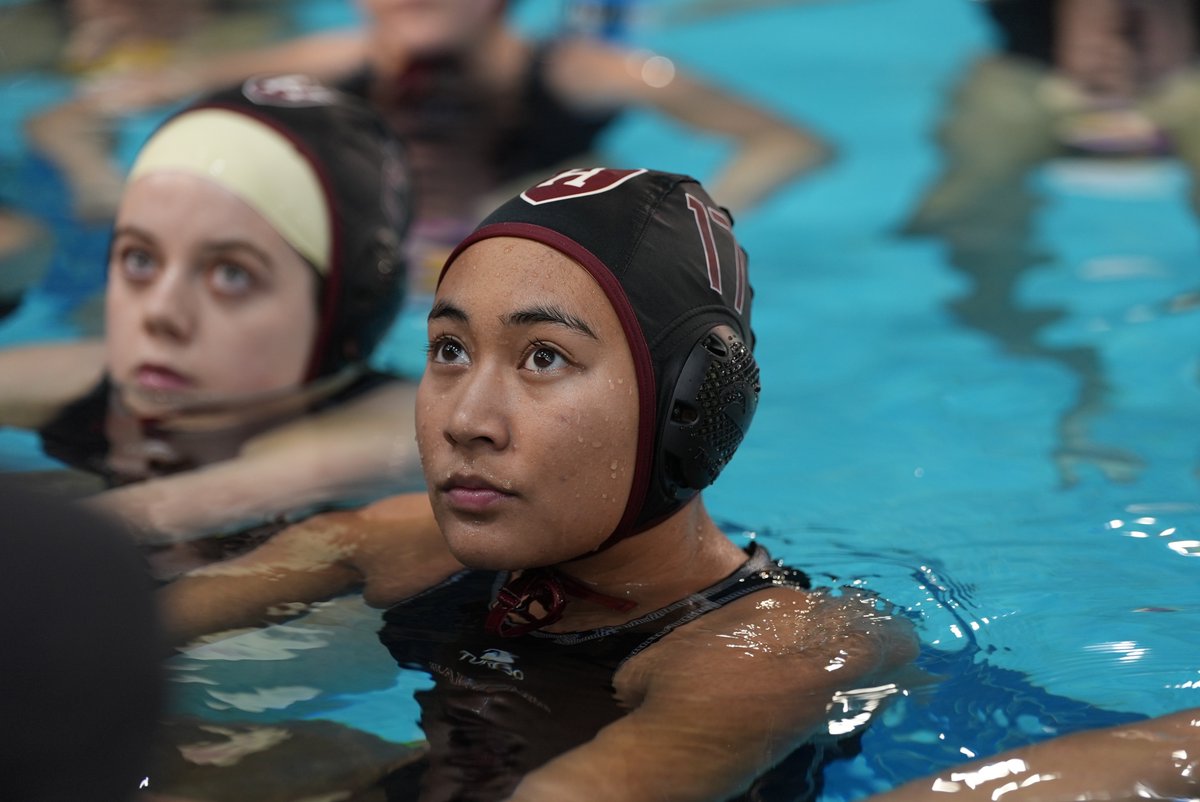 Harvard Water Polo tweet media