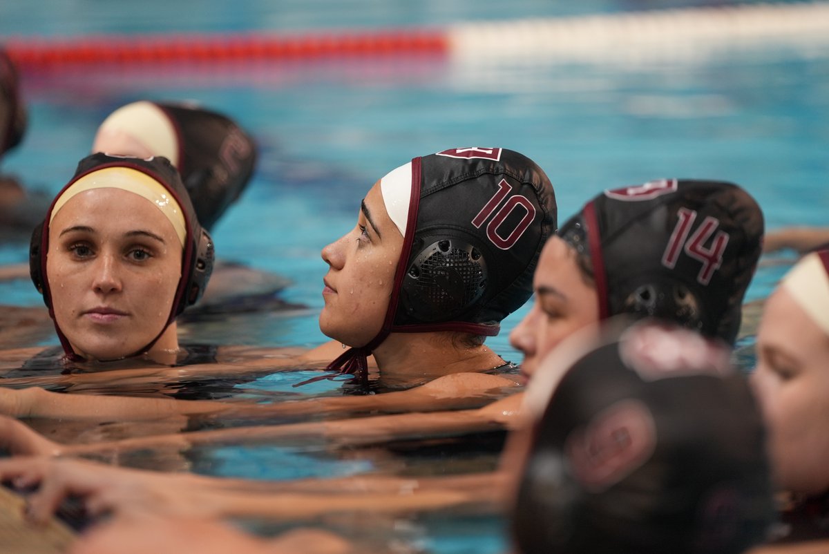 Harvard Water Polo tweet media