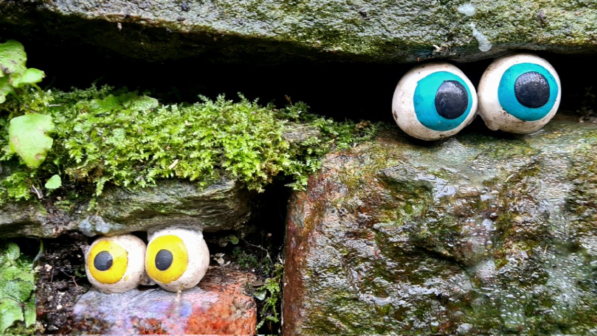 They say the walls have ears, but this wall by the Kelvin Walkway in the West End of Glasgow has eyes instead! 

#glasgow #streetart #eyes #walls #thewallshaveyes #glasgowstreetart #scottishstreetart #kelvinwalkway