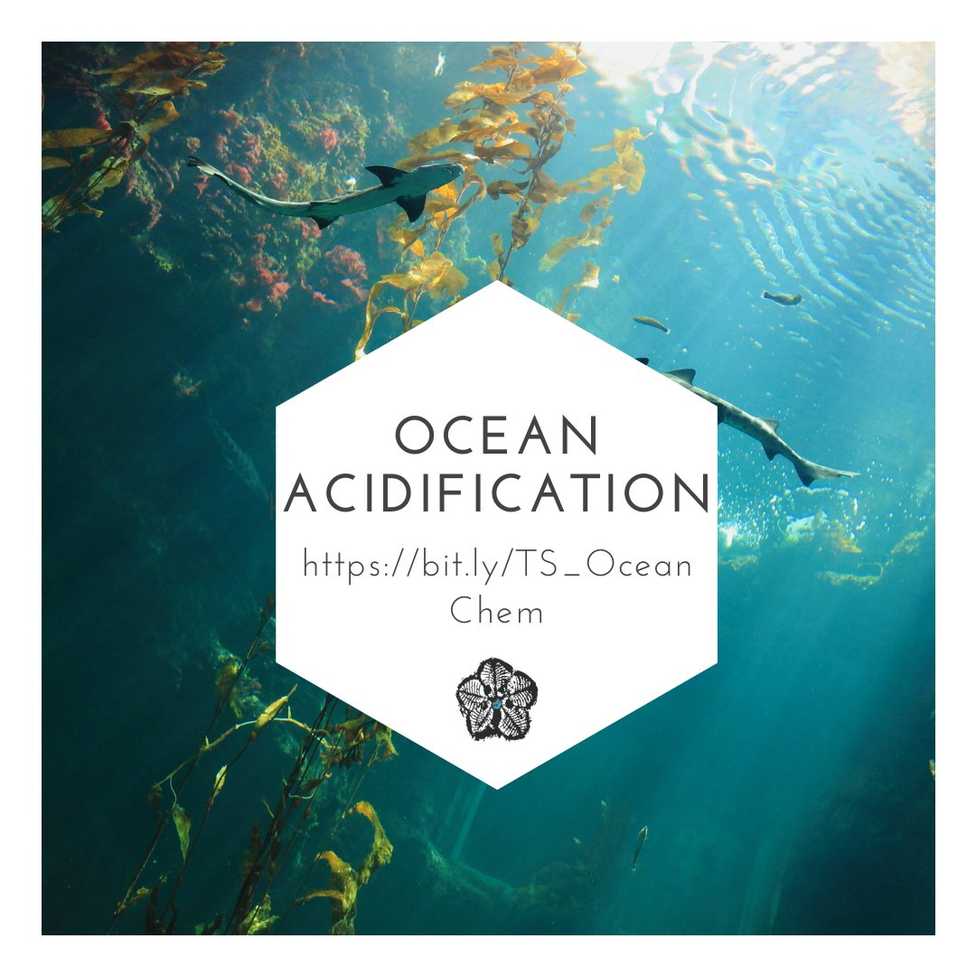 #OceanAcidification is often mentioned alongside #ClimateChange. But how, exactly, does this work? On our 'Ocean Chemistry & Acidification' page, we go into the details of the chemical reactions that cause the ocean to become acidic. Learn more at timescavengers.blog/climate-change…