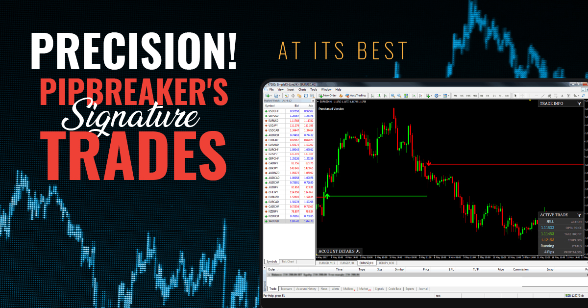wetalktrade's tweet image. Finding it hard to spot market reversal? Get Pipbreaker and trade like a pro. Spot the reversal points with precision and ride the trade comfortably. 

Get it now.
wetalktrade.com/best-indicator…

#pipbreaker #forextrading #tradingmarket #marketreversal #wetalktrade
