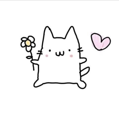 ꒰ 段 ✿ ꒱。 tweet media