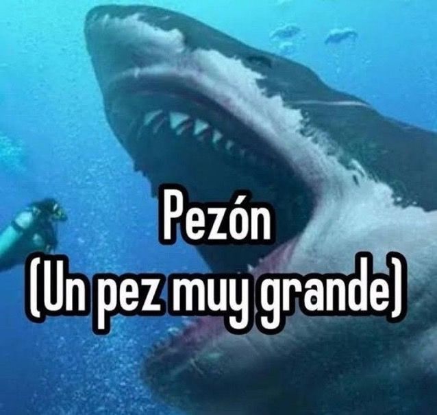 Memakker (@memakker) on Twitter photo 
