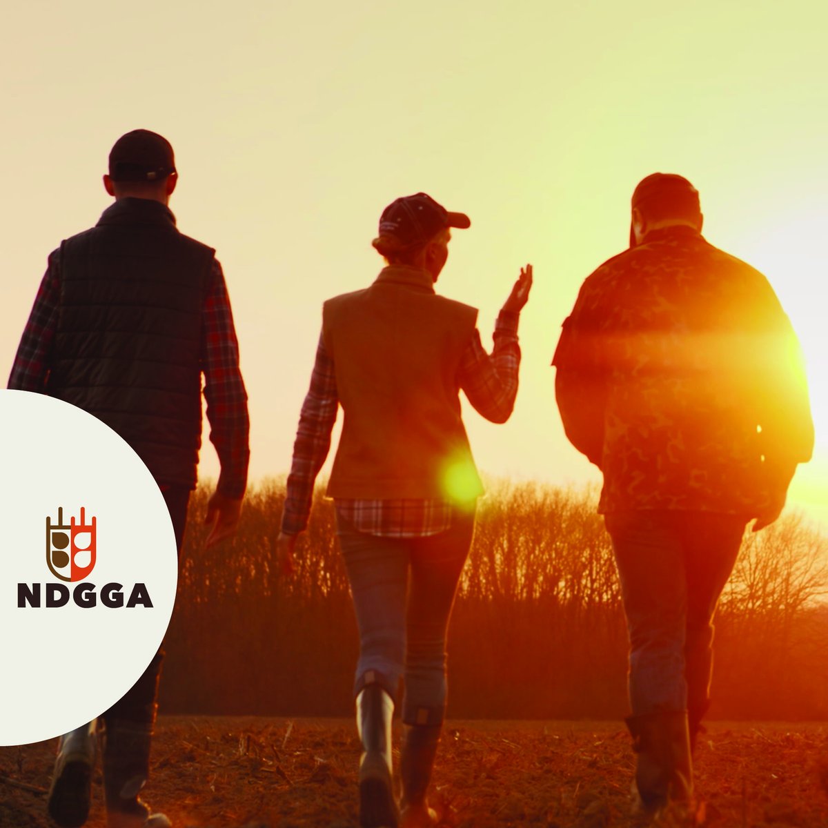 NDGrainGrowers's tweet photo. Are you a grain producer or a part of the agriculture industry? If so, membership in the NDGGA could be just what you're looking for!

Learn More:
https://t.co/eFVmQeAv3g

#ndgraingrowers https://t.co/Dtcol3CsF7