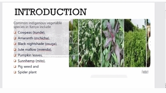 Dr. Caroline Mulinya of @kafu_official explains the composition & significance of Indigenous African Vegetables (#IAVs). She sheds light on the unique qualities and vital role these vegetables play in promoting #health & sustainability #ArinFridayReviews #ClimatechangeAdaptation