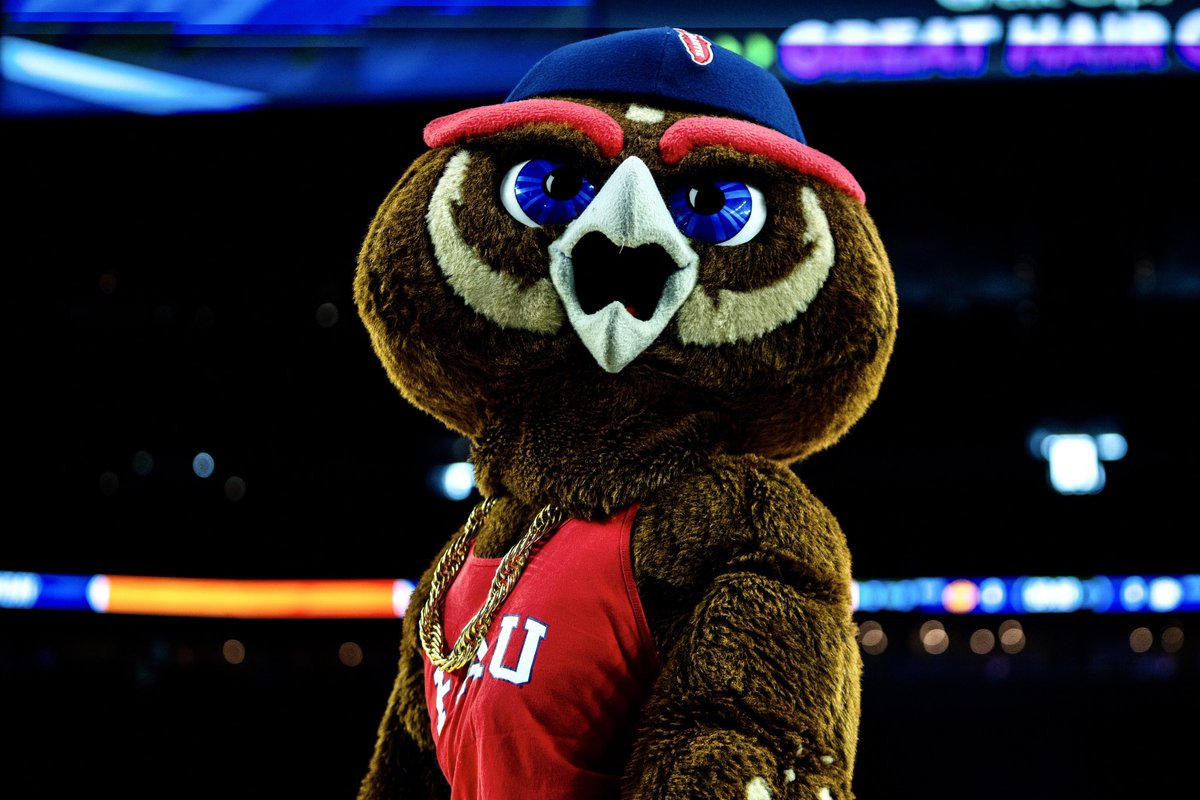 FAUAthletics's tweet image. Owlsley saw his shadow. 

6 more weeks of 75 and sunny ☀️ 

#WinningInParadise