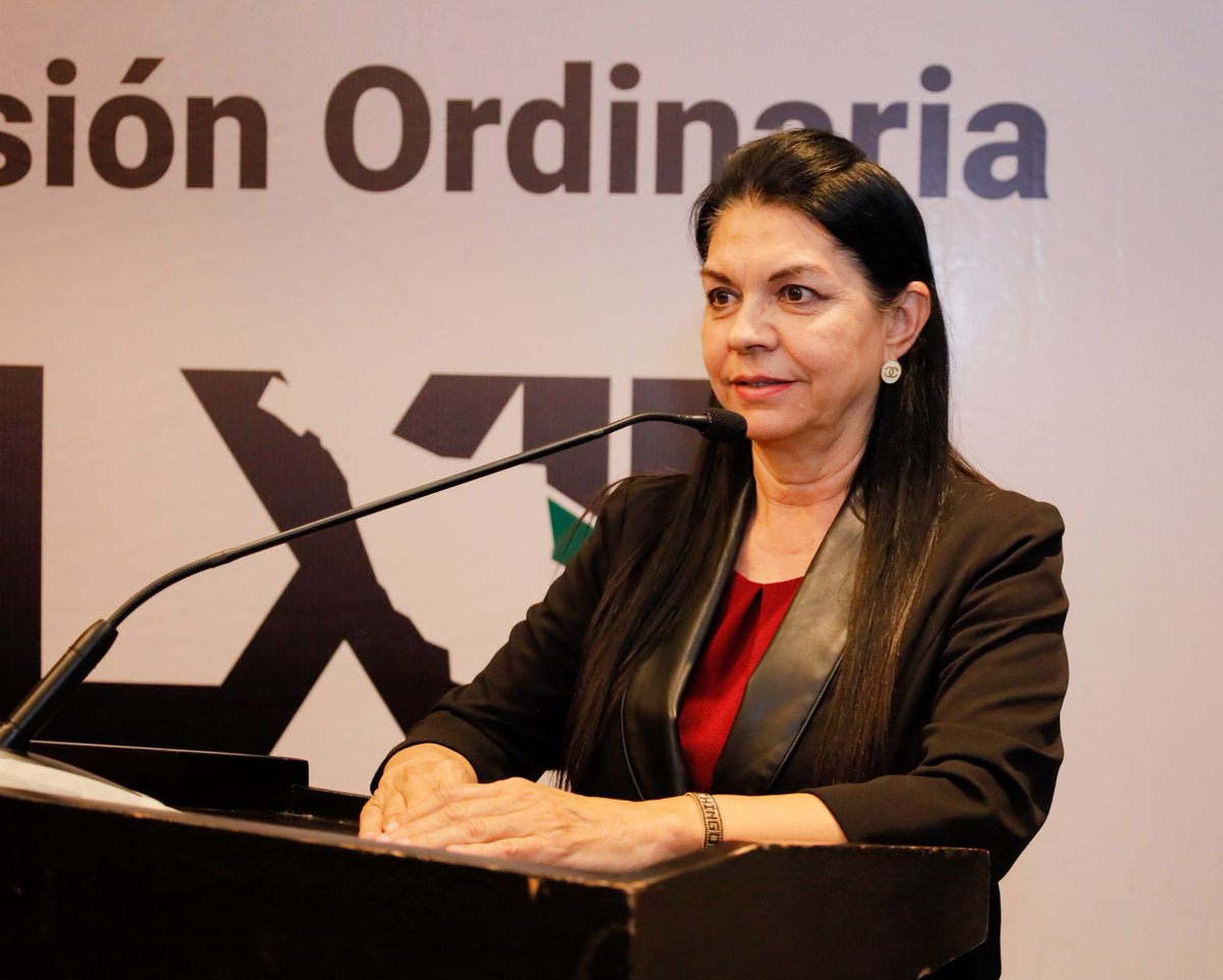 Responde grupo Parlamentario de Morena a los sonorenses con una agenda legislativa ciudadana
lanoticiaenlinea.com/11835/