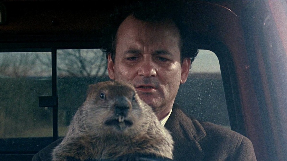 ThinkUtilitySer's tweet image. 🌞 Happy Groundhog Day! 🌷🐾

Guess what, folks? Punxsutawney Phil popped out of his burrow, took a look around, and proclaimed: "Early spring it is!" 

#GroundhogDay #EarlySpring #HelloSunshine #SpringIsComing
