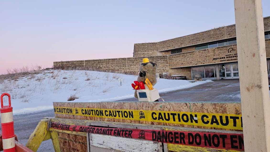 Oak Hammock Marsh tweet media