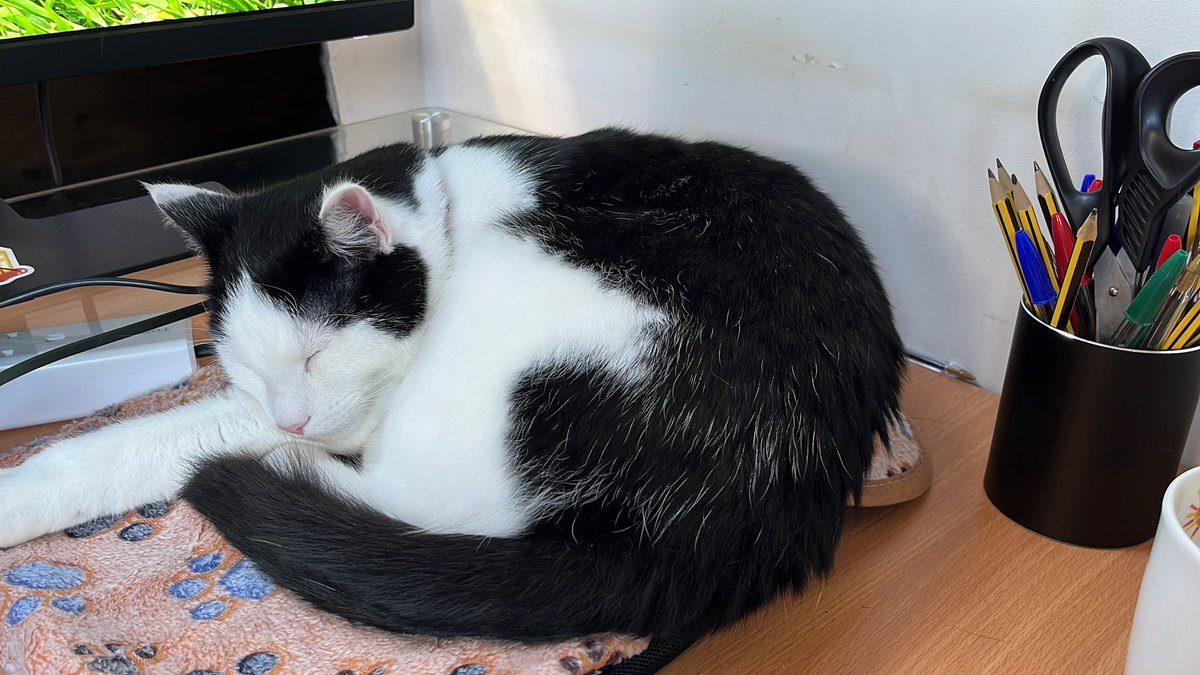 natmchugh tweet media