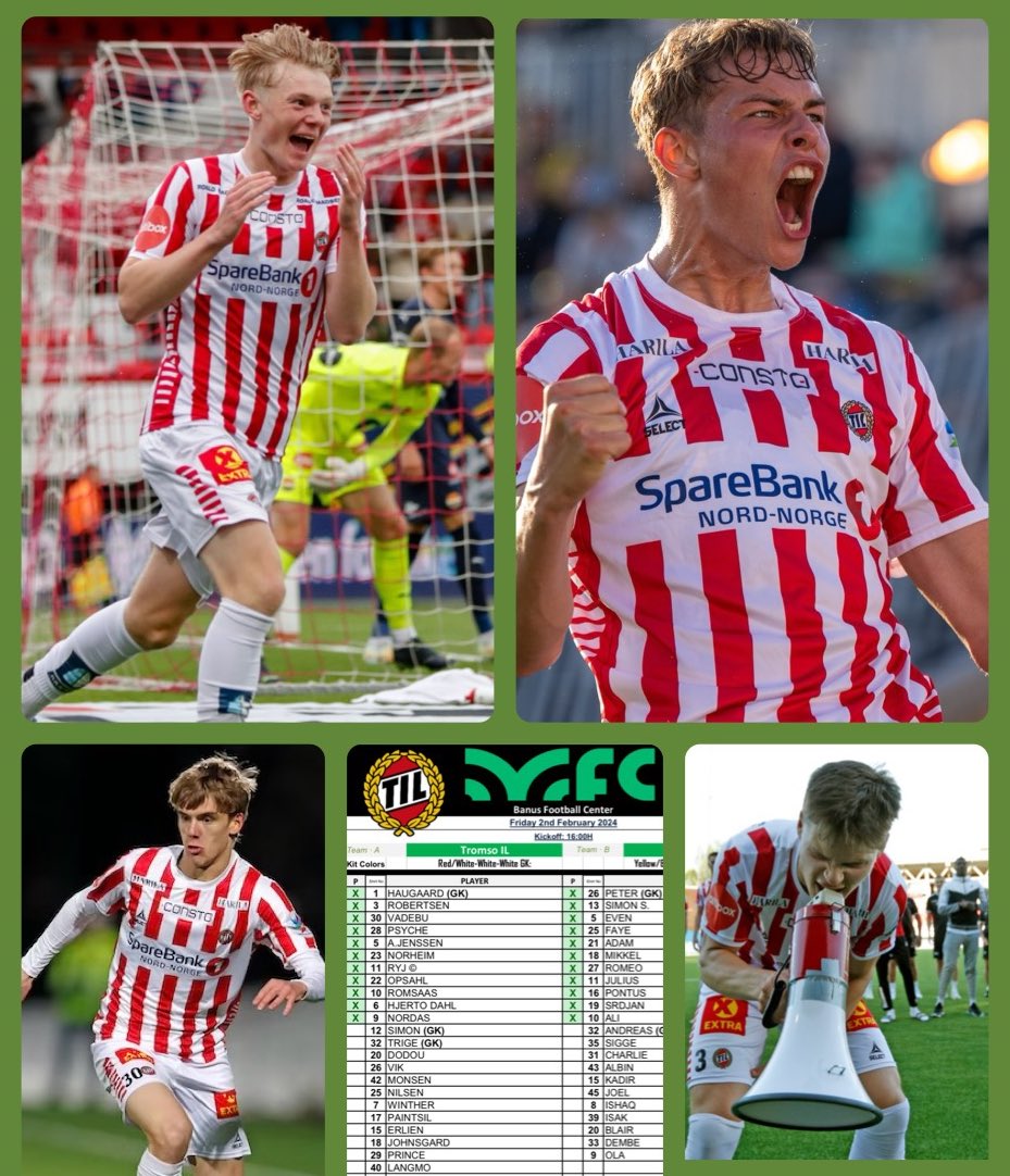 Robin Haugen tweet media