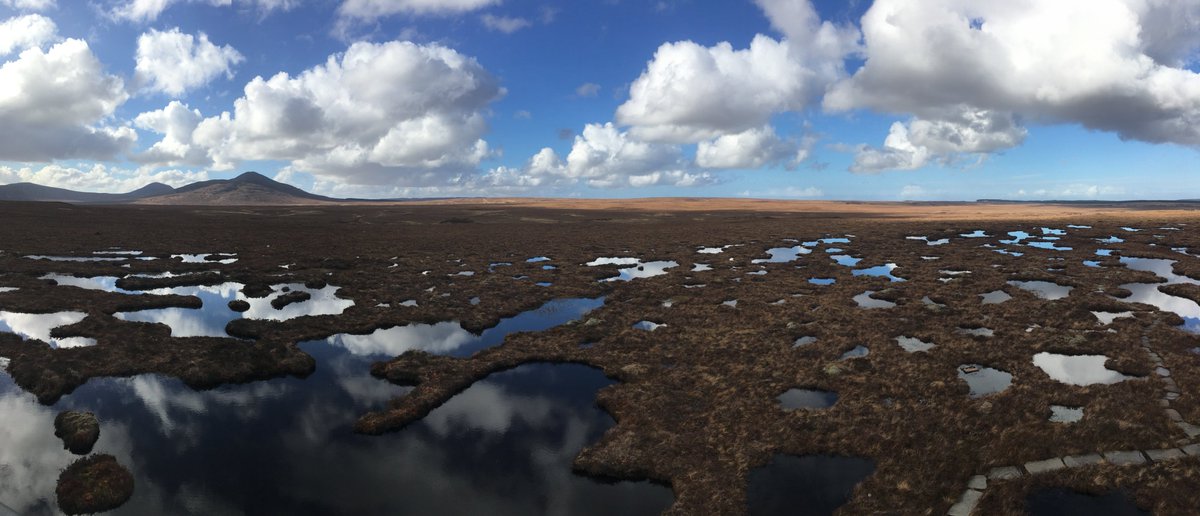 Happy #WorldWetlandsDay 🌏

#PeatTwitter #PeatECR