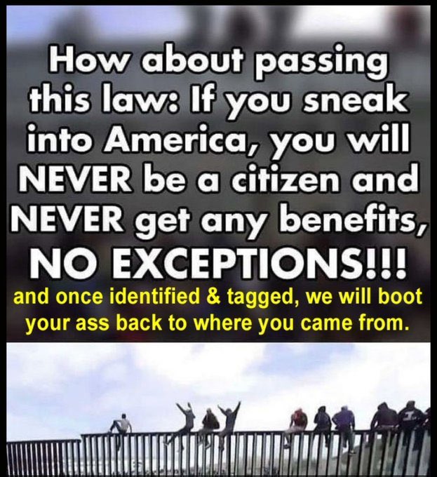 TheEXECUTlONER_'s tweet photo. Who agrees this is what our law SHOULD be? 🙋‍♂️ https://t.co/3jAWip0BJi
