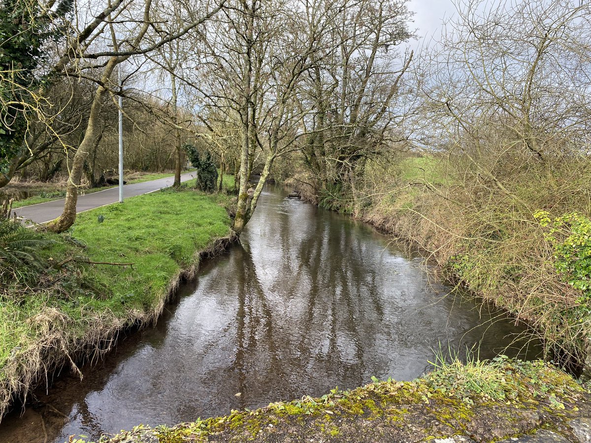DanJCB001's tweet photo. Day 33 of our #100daysofwalking Lovely morning for walking at Murphyโs Farm walk in Bishopstown ๐โโ๏ธ๐ ๐ @NTBreakfast #NewstalkFM #Cork @NewstalkFM #Bishopstown #JCB #NTVR #MTU https://t.co/sSi8Cq4VWE