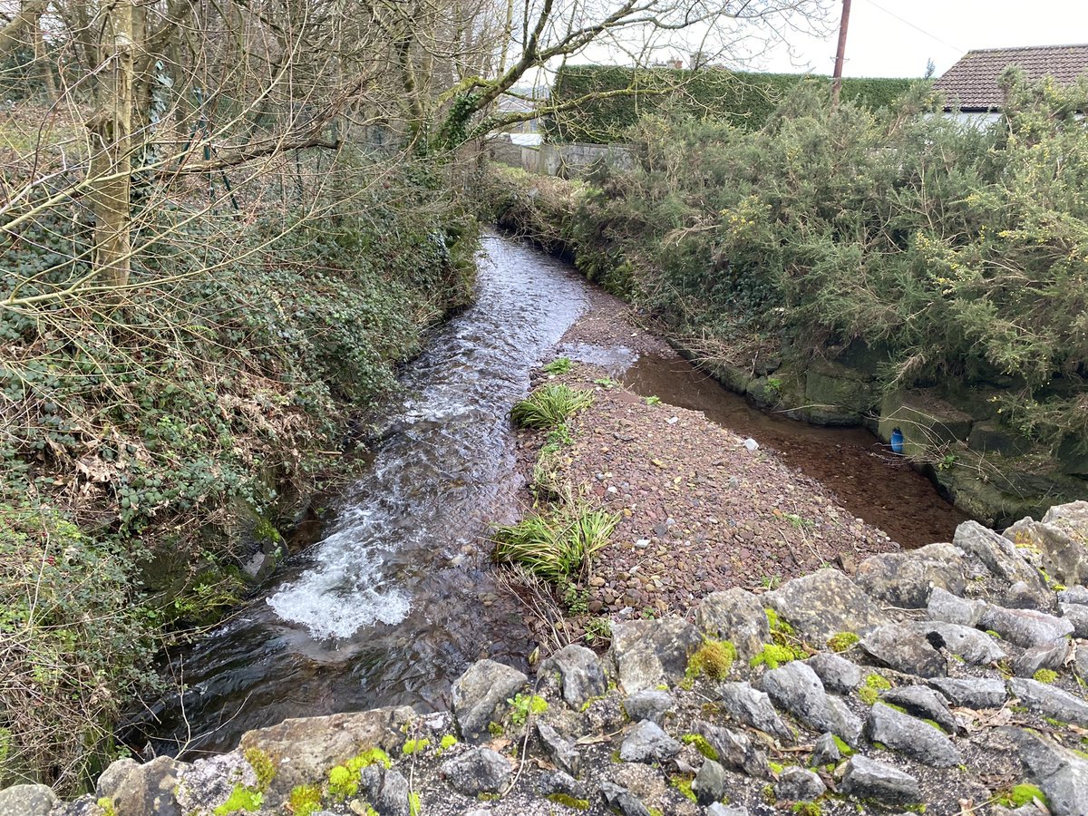 DanJCB001's tweet photo. Day 33 of our #100daysofwalking Lovely morning for walking at Murphyโs Farm walk in Bishopstown ๐โโ๏ธ๐ ๐ @NTBreakfast #NewstalkFM #Cork @NewstalkFM #Bishopstown #JCB #NTVR #MTU https://t.co/sSi8Cq4VWE