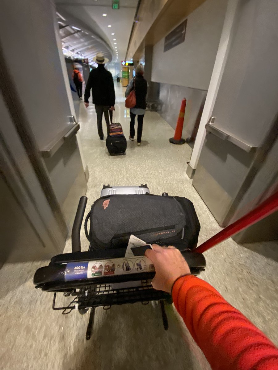 Lee Pyne-Mercier tweet media