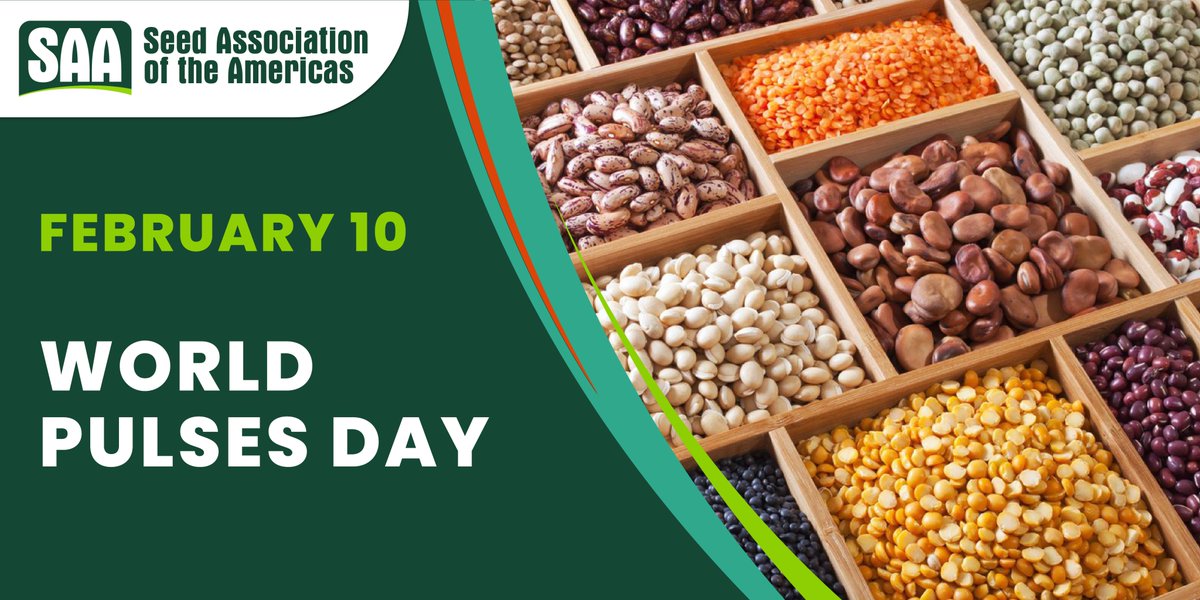 Today is #WorldPulsesDay in recognition of the decisive role that #pulses play in enhancing #foodsecurity and #nutrition.