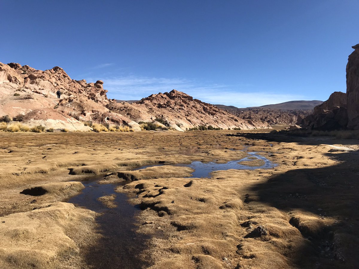Aptly discussing Tropical and Sub-Tropical wetlands of the Andes today with archaeologists, social scientists and peatland ecologists - thinking about their cultural heritage and importance to present day communities #WorldWetlandsDay
