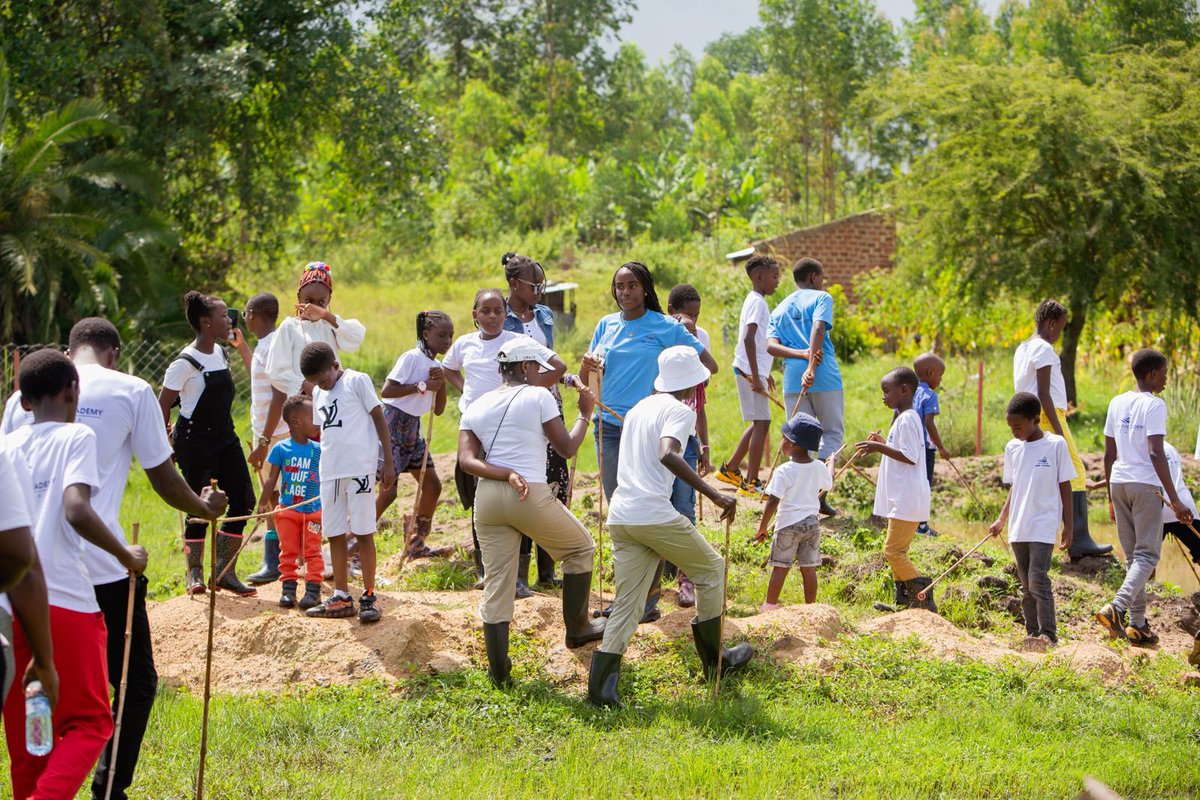 Silverfin Academy tweet media