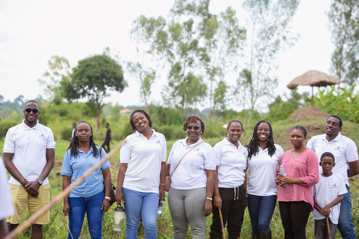 Silverfin Academy tweet media