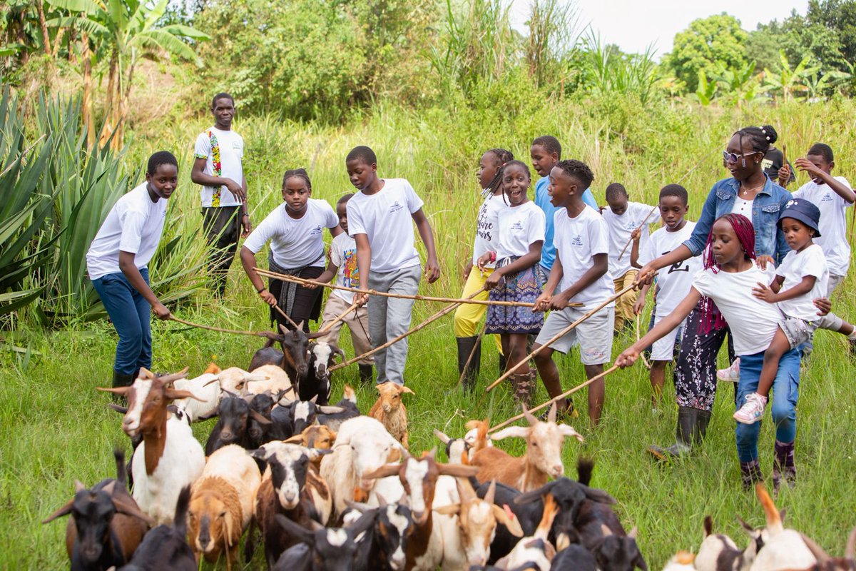 Silverfin Academy tweet media