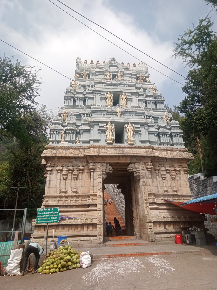 RAjipalli's tweet photo. Tirumala tirupathi. 🙏                           #2024 /1/1 https://t.co/vQRdRbZCZQ