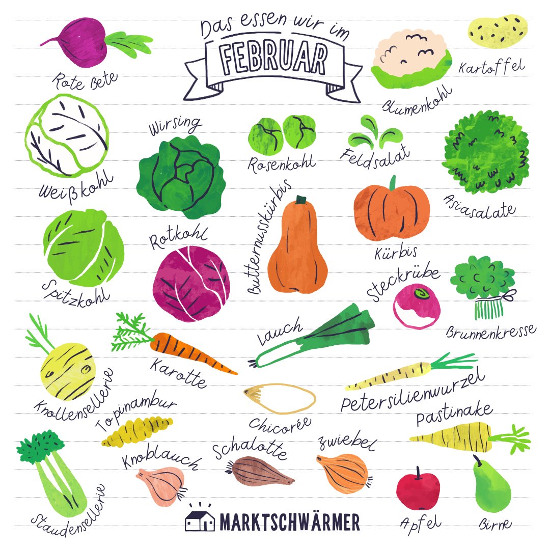 Worauf wir uns diesen Monat besonders freuen? Chicorée! Das Wintergemüse kurbelt mit seinen herrlichen Bitterstoffen nicht nur die Verdauung an, sondern hat darüber hinaus auch noch positive Effekte auf die Darmflora.🌱💚Bei Obst greifen wir weiterhin  auf Lagerware zurück. 🍎🍐