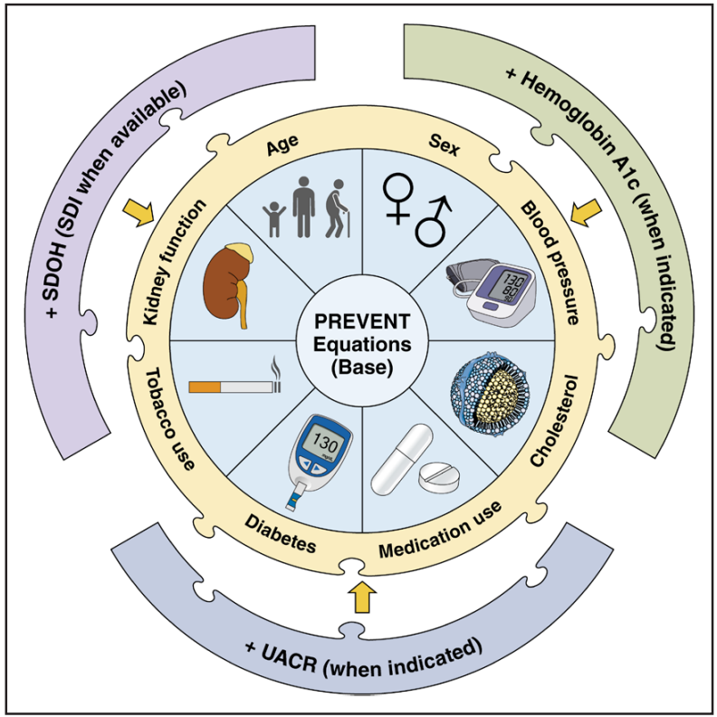 Important updates with deployment of the full PREVENT risk model. Inclusion of SDI starts to incorporate SDOH that drive disparities. When indicated, UACR and HbA1c further characterize CKM risk and enhance/personalize prediction.