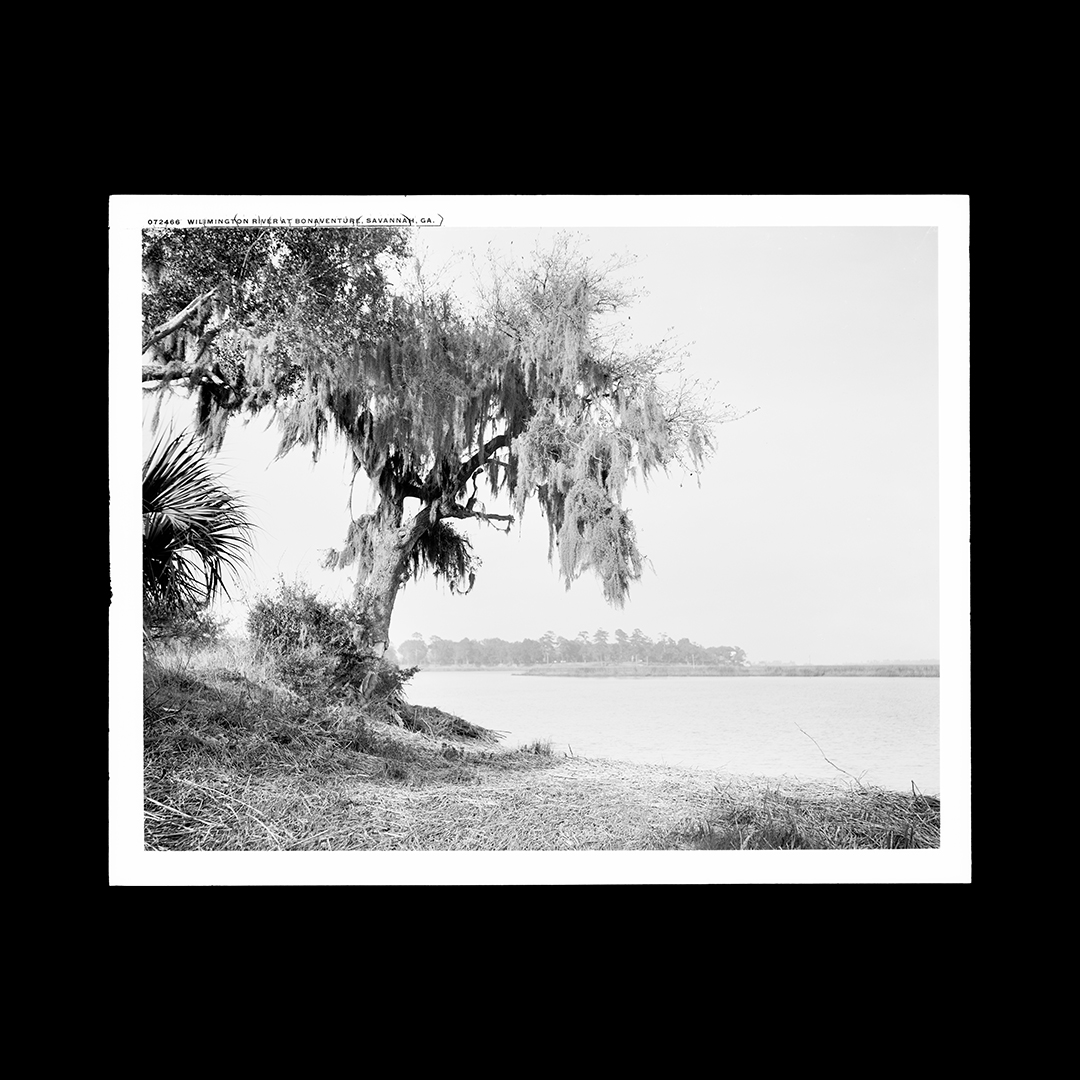 Bonaventure Cemetery rests gracefully on a scenic bluff, offering quiet views of the Wilmington River. Originally named St. Augustine Creek, this 17.3-mile-long tidal river begins its journey from the Savannah River and finds its way to Wassaw Sound, an arm of the Atlantic Ocean.