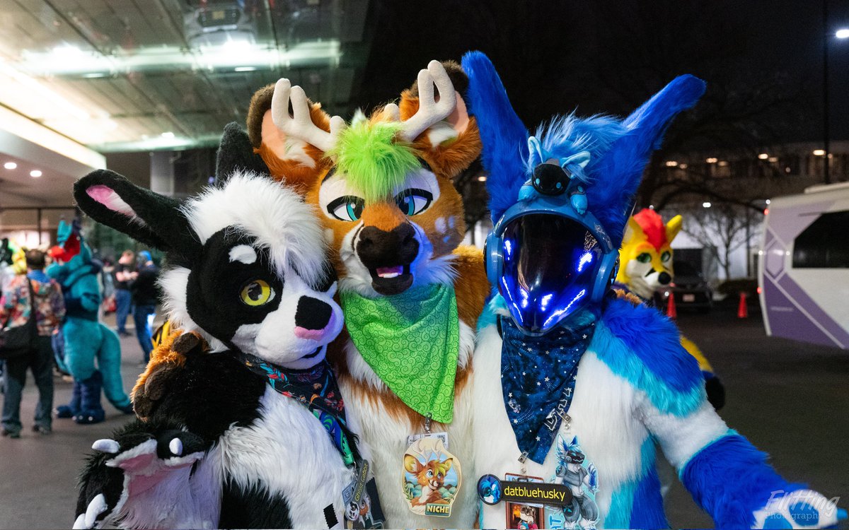 DatBlueHusky🔜FWA, AC tweet media